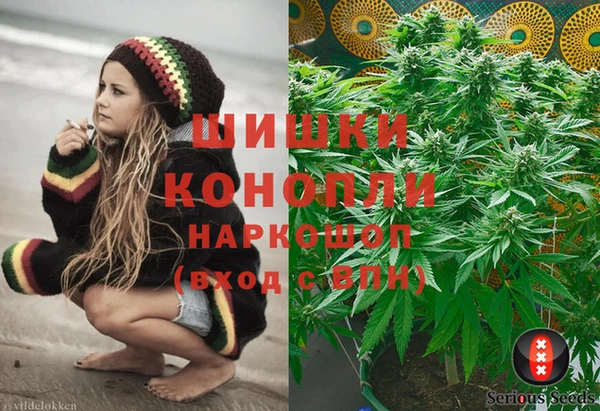 молекула духа Горно-Алтайск