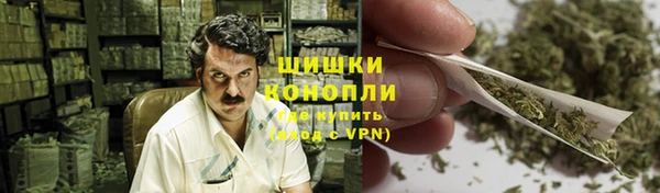 ECSTASY Горняк