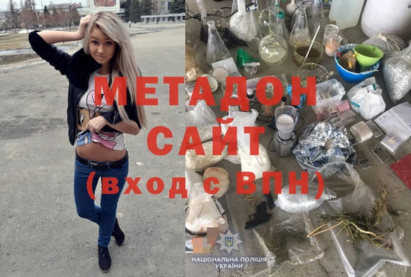 ГАЛЛЮЦИНОГЕННЫЕ ГРИБЫ Гусев